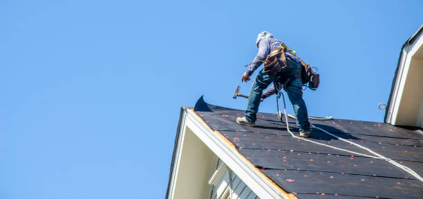 Best Metal Roofing Contractor  in Georgetown, GA